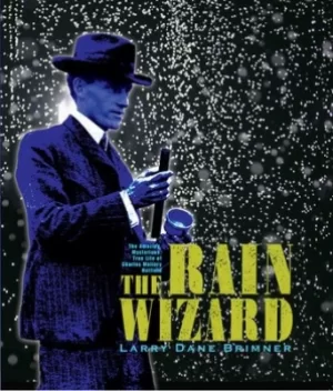 Image of The rain wizard by Larry Dane Brimner