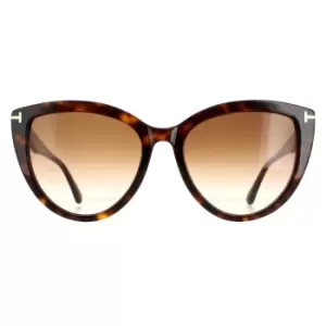 Image of Cat Eye Dark Havana Brown Gradient Isabella FT0915