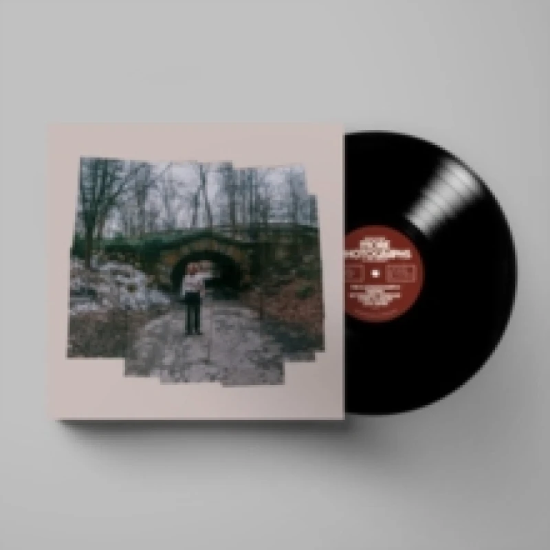 Image of More Photographs (A Continuum) Vinyl