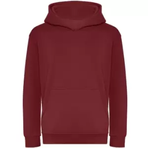 Awdis Childrens/Kids Organic Hoodie (5-6 Years) (Burgundy)