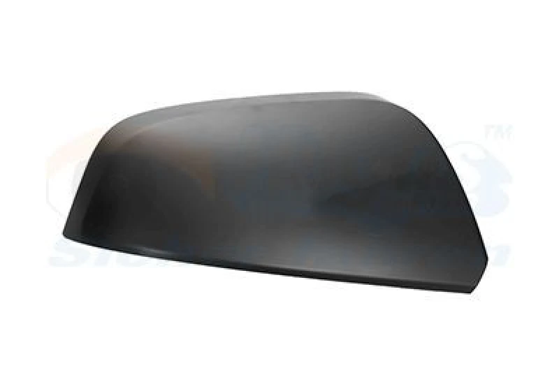 Image of VAN WEZEL Wing mirror cover VAN WEZEL 3018843