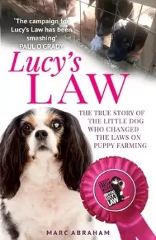 Image of Lucys law by Marc Abraham
