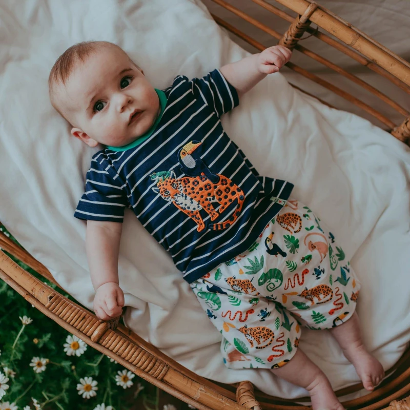 Image of Lilly + Sid Boy's Stripe T-Shirt & Animals Shorts Set Size: 0-3 m Multicolor Male 0-3 m