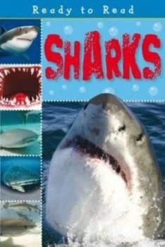Image of Sharks by Sarah Creese Paperback