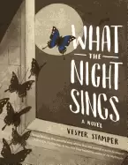 Image of what the night sings