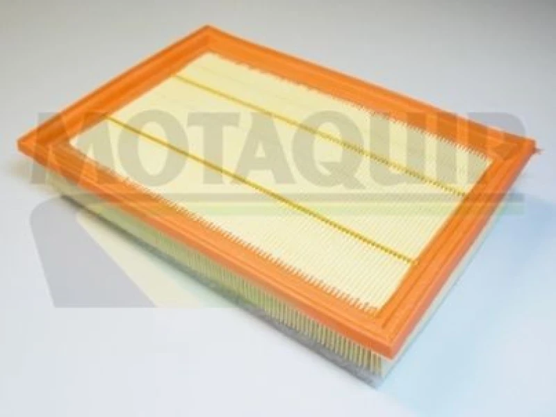 Image of MOTAQUIP Air filter MOTAQUIP VFA18