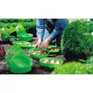 Image of Thompson & Morgan Thompson and Morgan Bulb Planting Baskets - 10 baskets