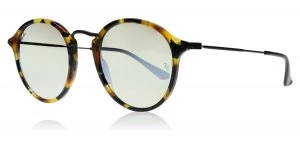 Ray-Ban 2447 Sunglasses Havana / Black 11579U 49