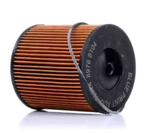 Image of Blue PRINT Fuel Filter ADU172324 MERCEDES-BENZ,E-Klasse Limousine (W211),E-Klasse T-modell (S211),CLS (C219)