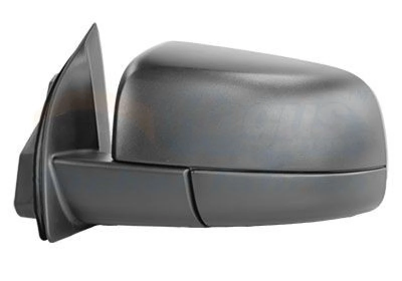 Image of VAN WEZEL Wing mirror VAN WEZEL 1962807