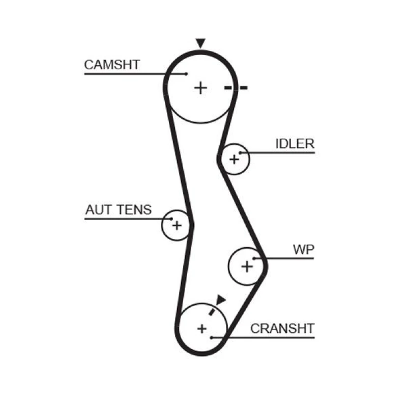 Image of GATES Timing Belt GATES 5579XS