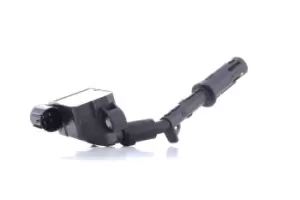 Image of RIDEX Ignition coil SAE 689C0391 Coil pack,Ignition coil pack MERCEDES-BENZ,C-Klasse Limousine (W204),C-Klasse T-modell (S204)