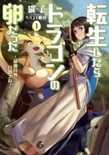 Image of Reincarnated as a Dragon Hatchling (Light Novel) Vol. 1