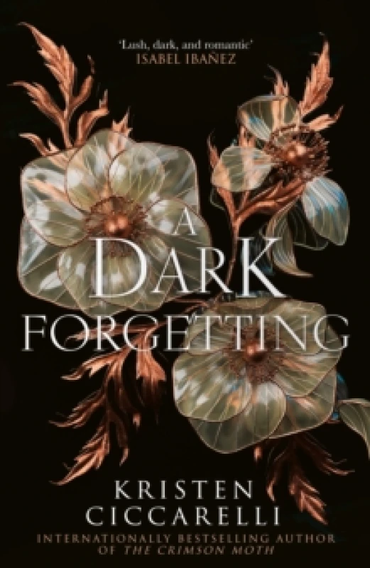 Image of A Dark Forgetting. Hardback. By Kristen Ciccarelli Books