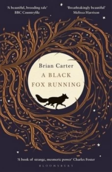 Image of A Black fox running by Brian Carter