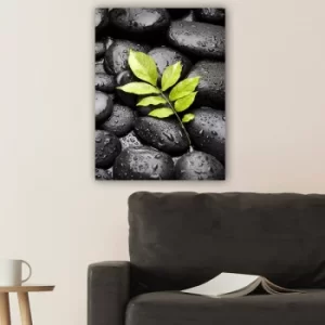 Image of 66505477_70100 Multicolor Decorative Canvas Painting