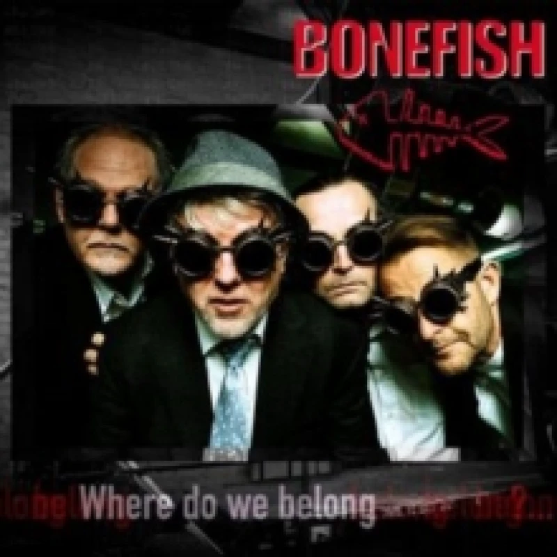 Image of Where do we belong CD / Album