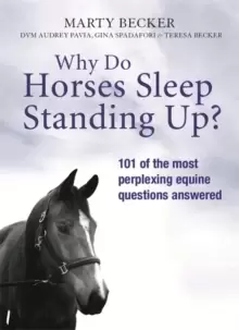 Image of Why Do Horses Sleep Standing Up?