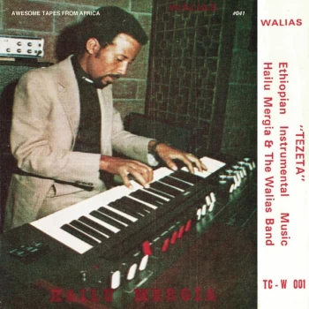 image of Hailu Mergia & The Walias Band - Tezeta Vinyl