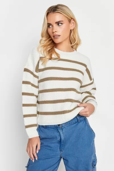 image of Petite Stripe Knit Jumper