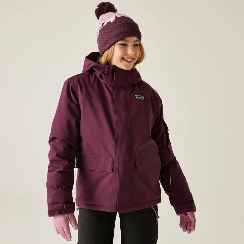 Image of Dare 2b Unisex Kids Shredder Waterproof Insulated Jacket Fig unisex 11-12yrs
