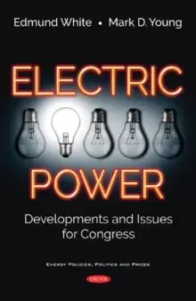 Image of Electric Power : Developments and Issues for Congress