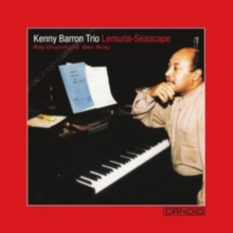 Image of Lemura-Seascape Vinyl