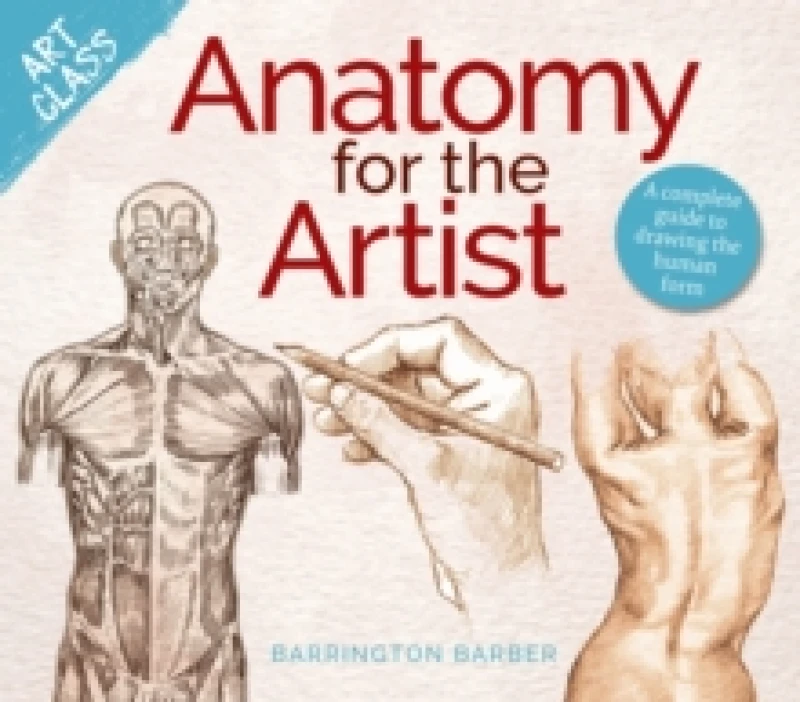 Image of Art Class: Anatomy for the Artist : A complete guide to drawing the human form Paperback / softback