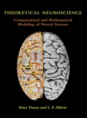 Image of theoretical neuroscience