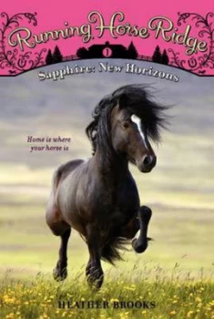 Image of Sapphire by Heather Brooks Book