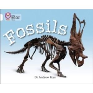 Image of Fossils: Band 10/White (Collins Big Cat) by Andrew Ross (Paperback, 2010)
