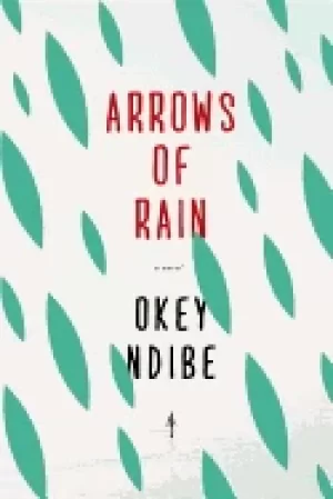 Image of arrows of rain