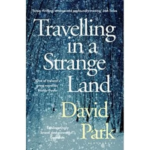 Image of Travelling in a Strange Land Winner of the Kerry Group Irish Novel of the Year Paperback / softback 2018