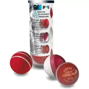 image of Gunn And Moore And Moore BS55 3 Ball Pack Junior Boys - Red