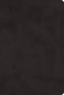 Image of esv bible with creeds and confessions