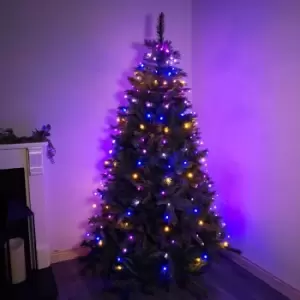 Image of 2M 200L Ultrabright Tree Net Rainbow LEDs - Green Wire