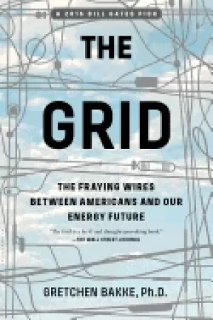 Image of grid the fraying wires between americans and our energy future