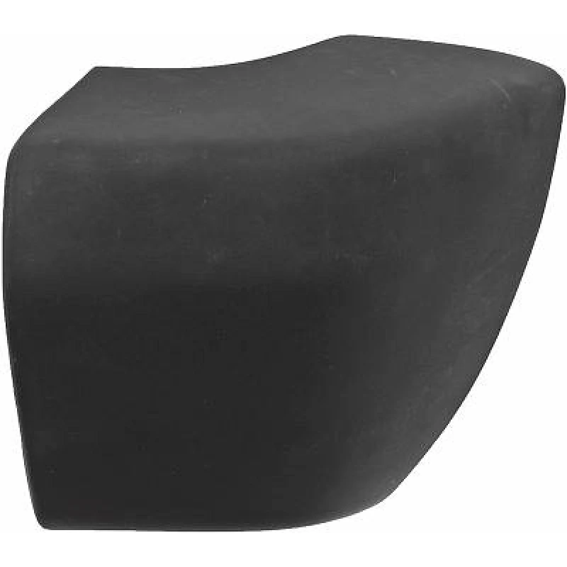 Image of Bumper DIEDERICHS 1695053