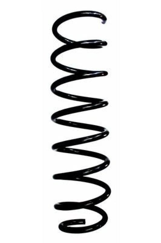 Image of Coil spring SPIDAN 87743