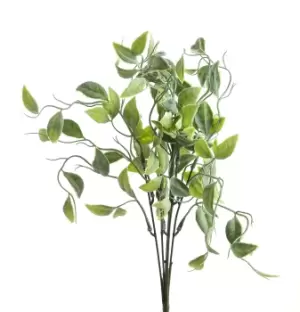 Image of Green Shoots Greenery Bunch