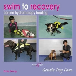 Image of Swim to Recovery by Emily Wong Hardback
