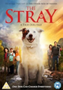 Image of The Stray