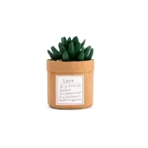 Image of Plant Kindness - Love