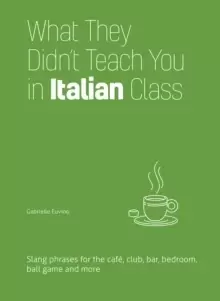 Image of What They Didn't Teach You In Italian Class : Slang Phrases for the Cafe, Club, Bar, Bedroom, Ball Game and More