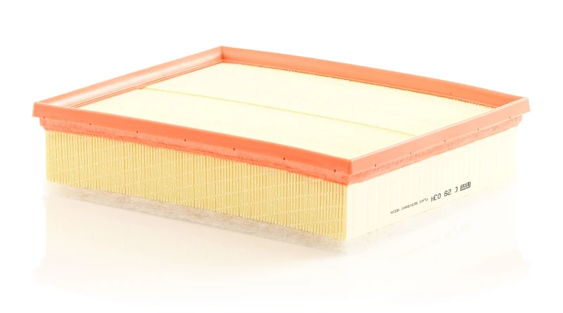 Image of Air filter MANN-FILTER C 29 034