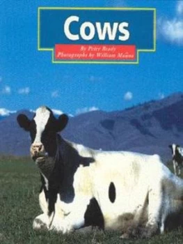 Image of Cows by P Brady Book