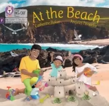 Image of At the Beach : Foundations for Phonics