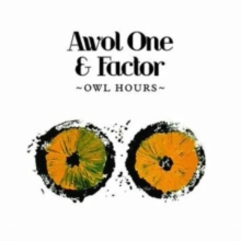 Image of Owl hours CD / Album