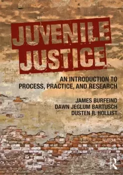 Image of Juvenile JusticeAn Introduction to Process Practice and Research