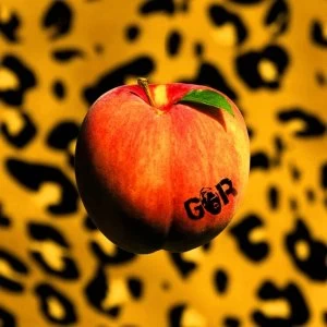 Image of Gorilla Riot - Peach Vinyl